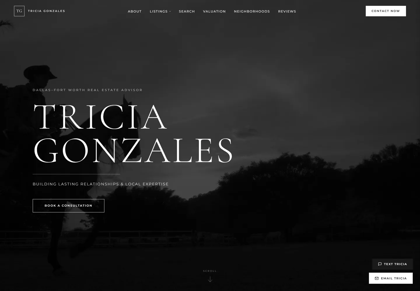 Tricia Gonzales website, desktop
